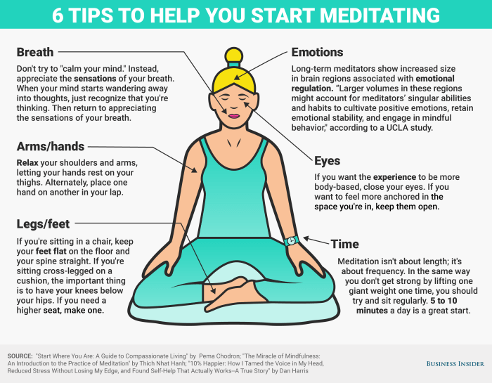 Meditate infographic meditation quickly practice learn cultivate own infographics medicpresents